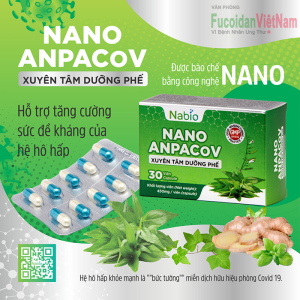Nano Anpacov bảo vệ và tăng cường sức khỏe hệ hô hấp, Hộp 30 viên